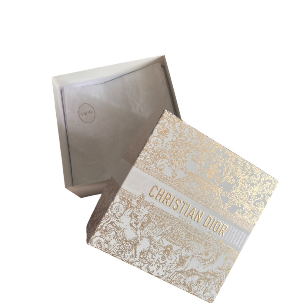 SOLD Dior WOC, Dustbag and box - Picture 11 of 14